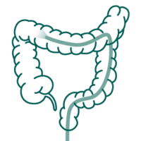 Gms Icon Colonoscopy